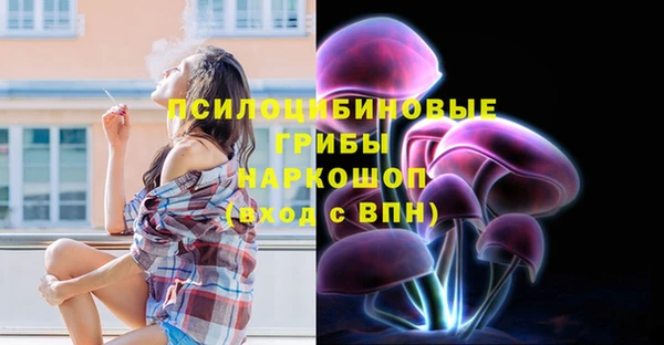 кристаллы Гусь-Хрустальный