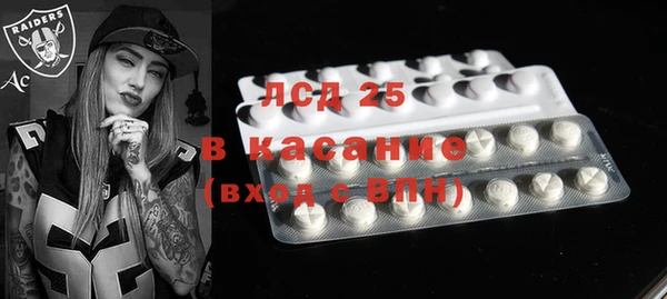 ECSTASY Елизово
