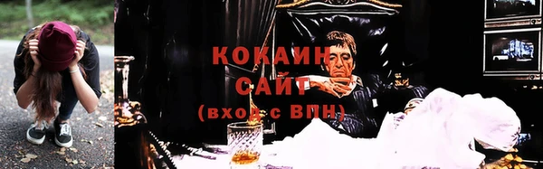 гидра Гусиноозёрск