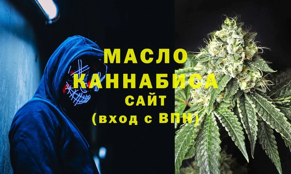 гидра Гусиноозёрск