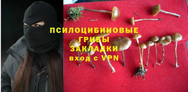 кристаллы Гусь-Хрустальный