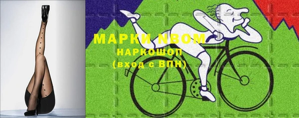 гидра Гусиноозёрск