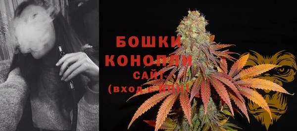 гидра Гусиноозёрск
