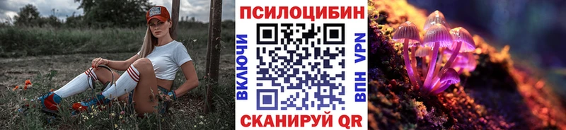 Купить закладки  Севск  Галлюциногенные грибы MAGIC MUSHROOMS 